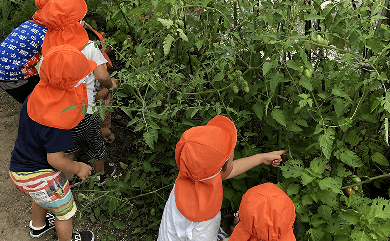 食育への取り組み