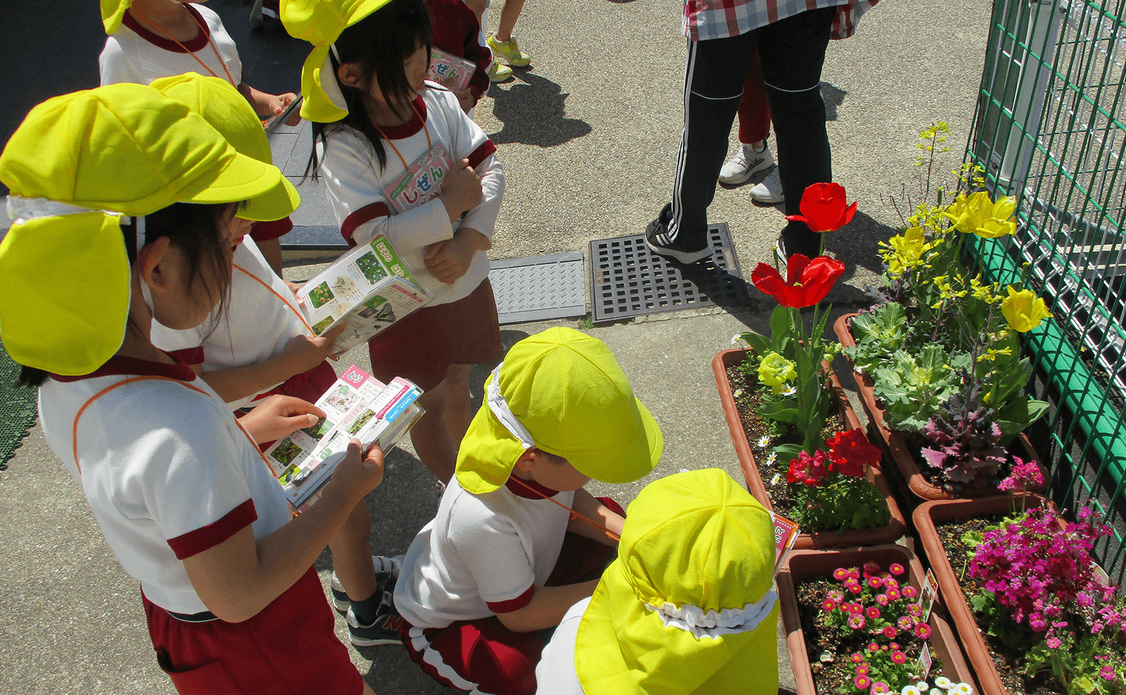 社会福祉法人幸祥会 善根寺保育園
